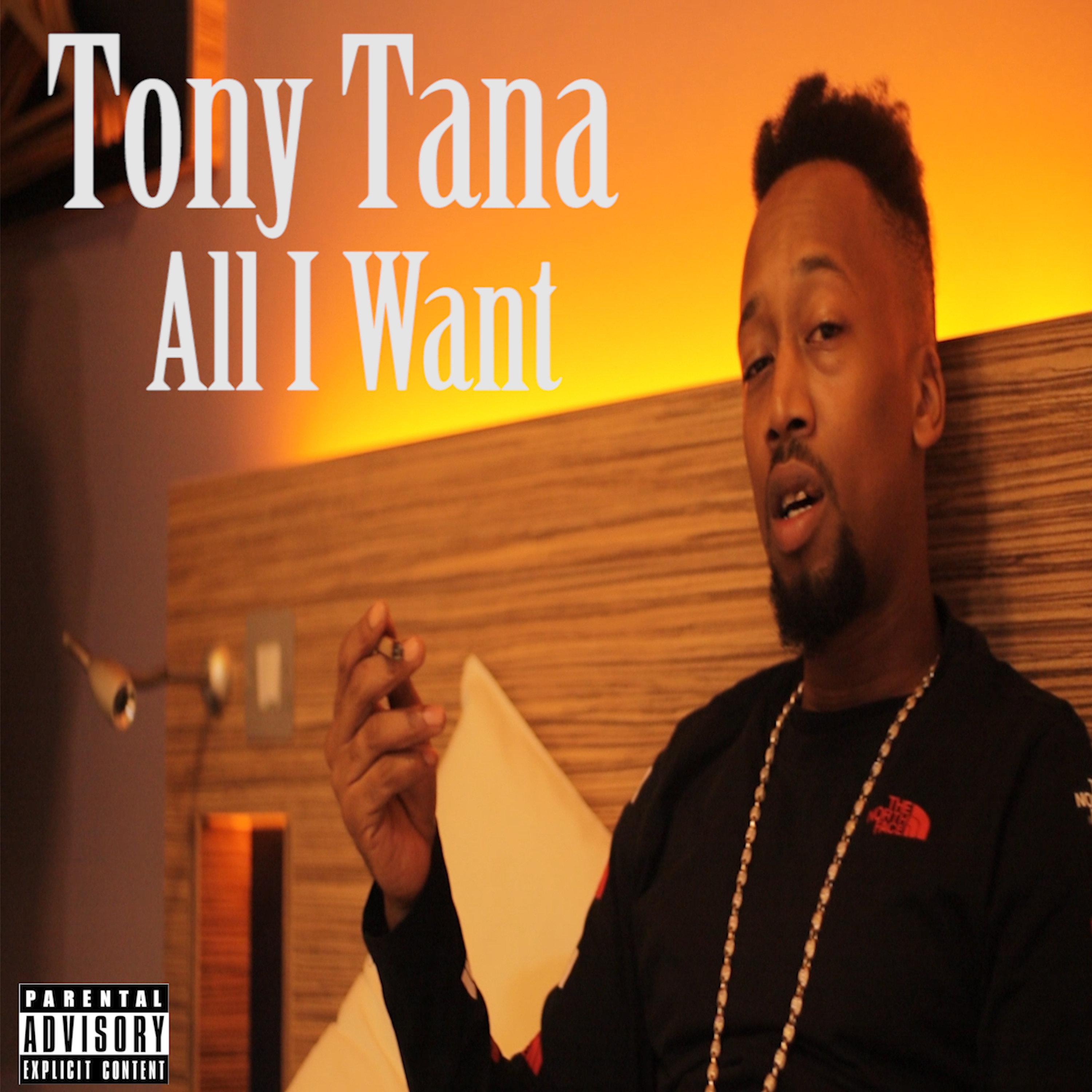 All I Want - Tony Tana - 单曲 - 网易云音乐