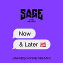 Now and Later (James Hype Remix)专辑