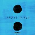 Shape of You (BKAYE Remix)