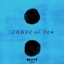 Shape of You (BKAYE Remix)专辑