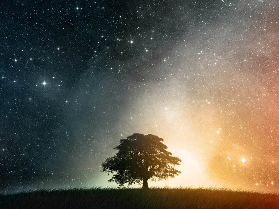 追光者(Cover 岑宁儿)