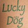 Lucky Dog - Don't Screw It up Again