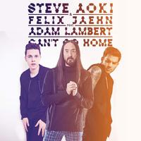 J5950（OJAN）Can't Go Home - Steve Aoki Ft.Adam Lambert 官版细节和声 重鼓加强 男歌精品伴奏
