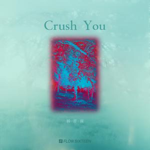 杨胖雨 - Crush you(原版立体声伴奏)