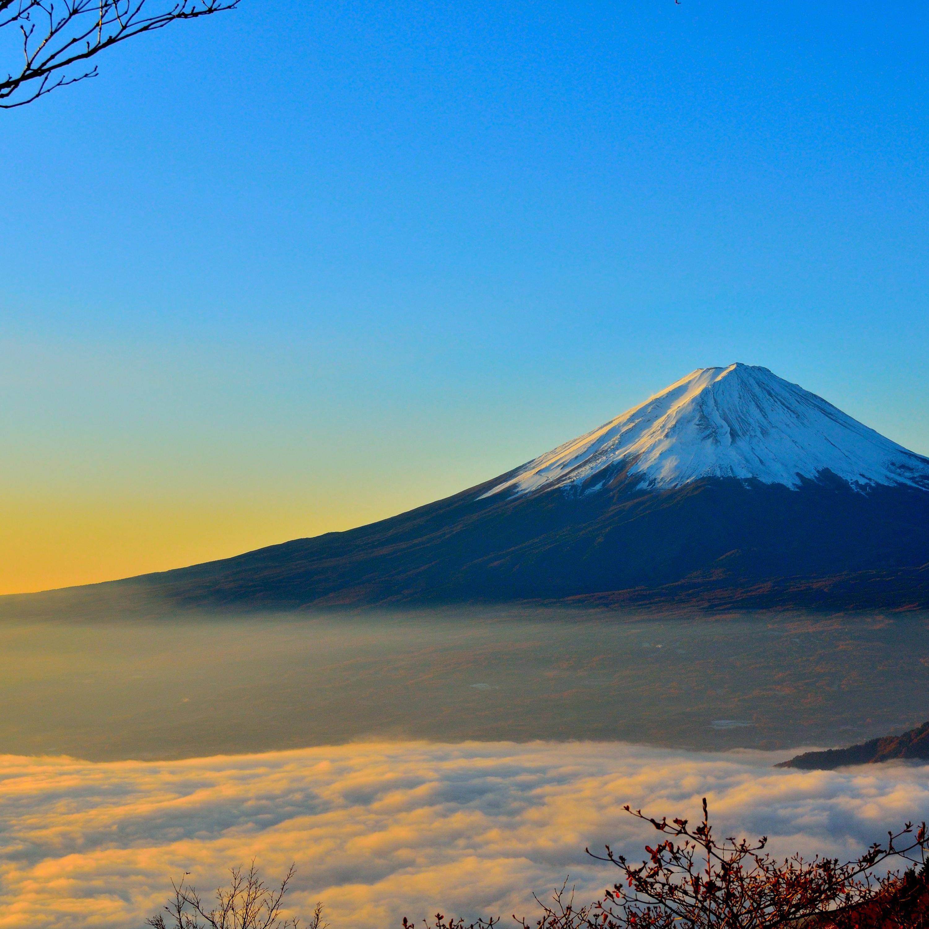 Deeply Relaxing Melodies | Instant Deep Sleep and Serenity