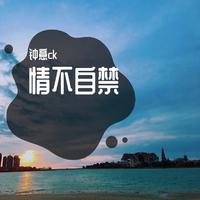 情不自禁(金牌大风官方原版首发)