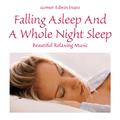 Falling Asleep and a Whole Night Sleep: Beautiful Relaxing Music