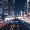 Tony Schwery - Metro Dubai