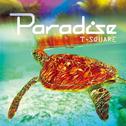 PARADISE专辑