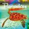 PARADISE专辑