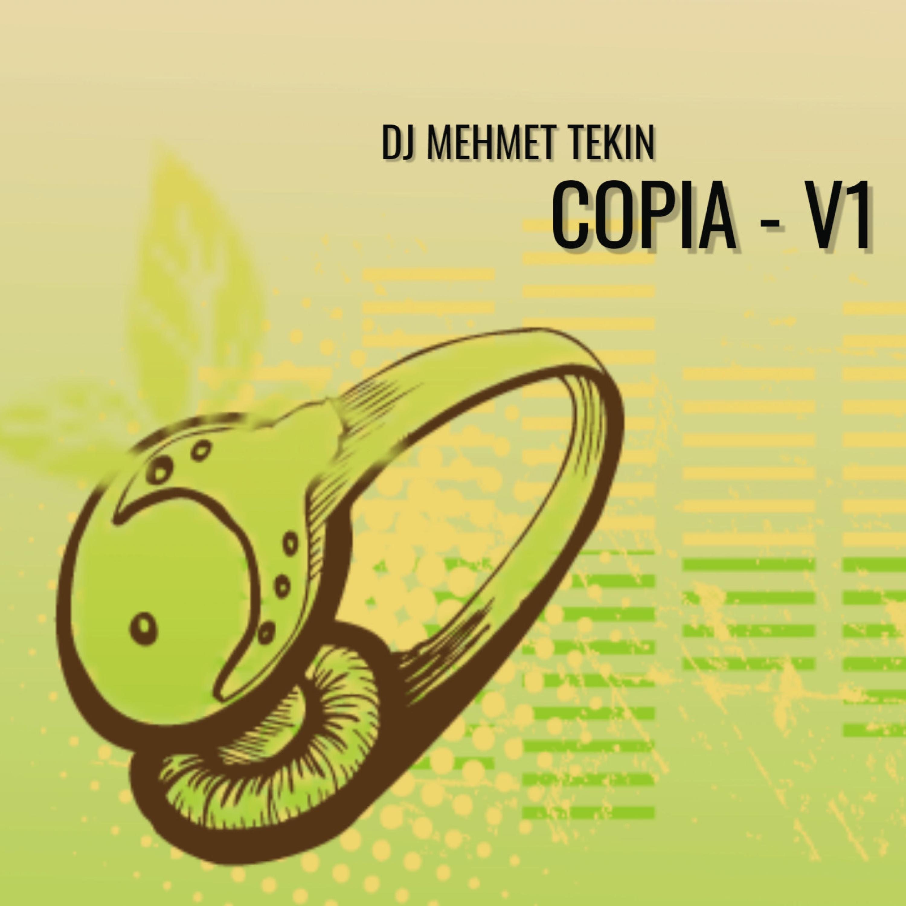 Copia V1