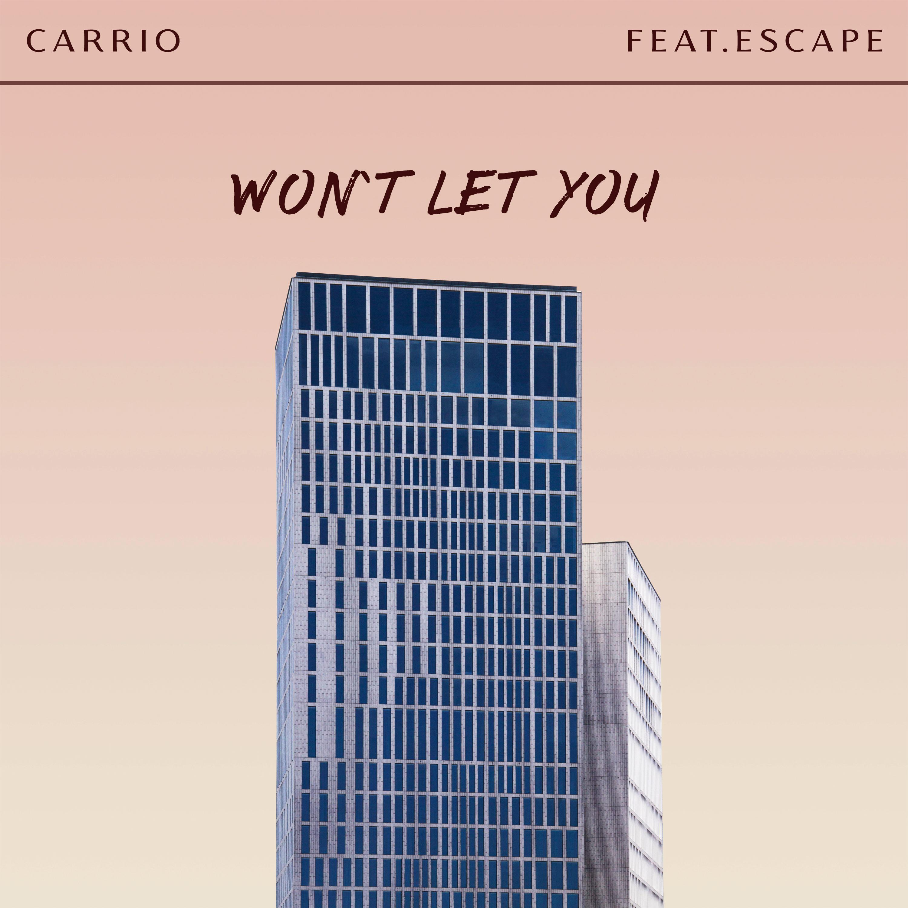 Won't Let You