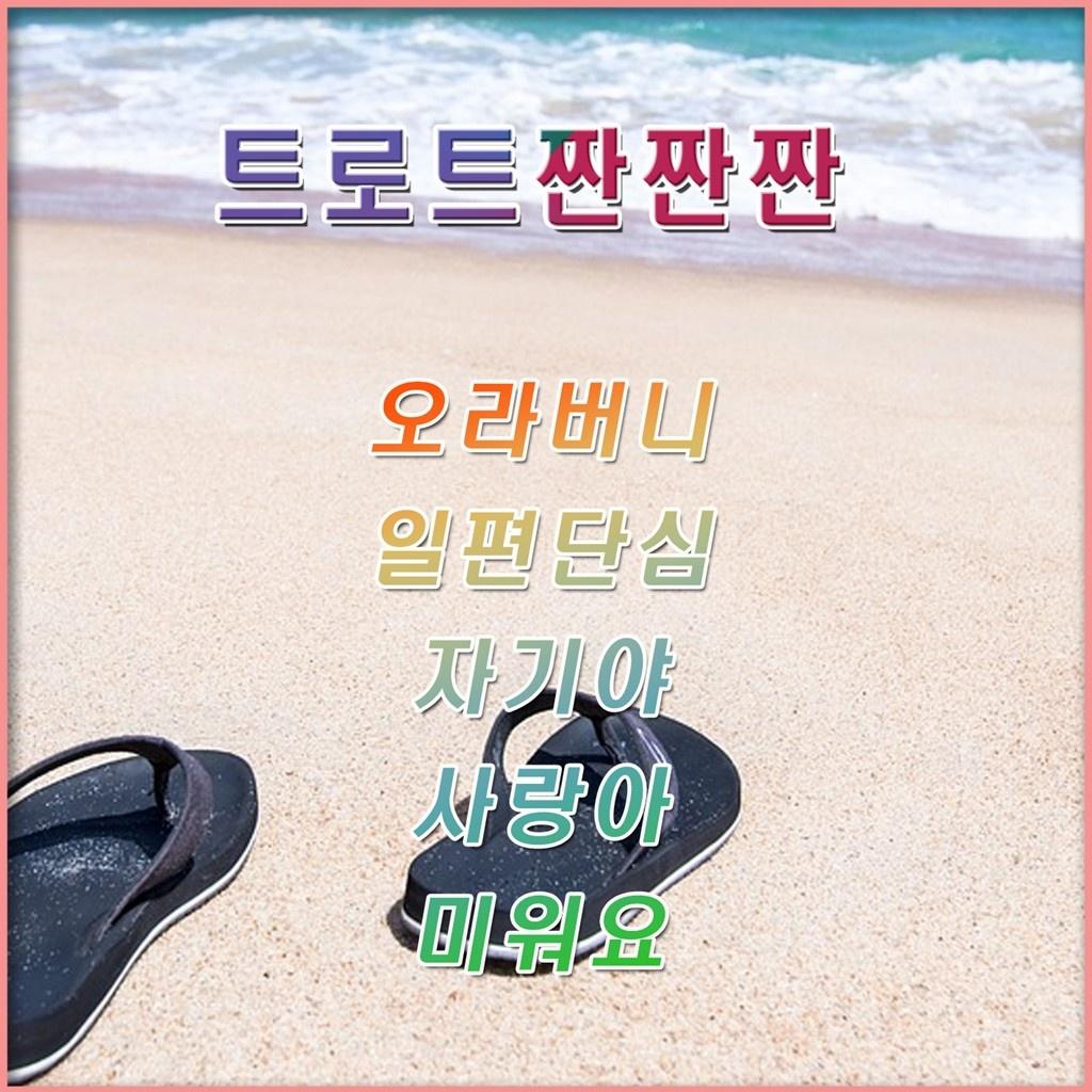 트로트 짠짠짠