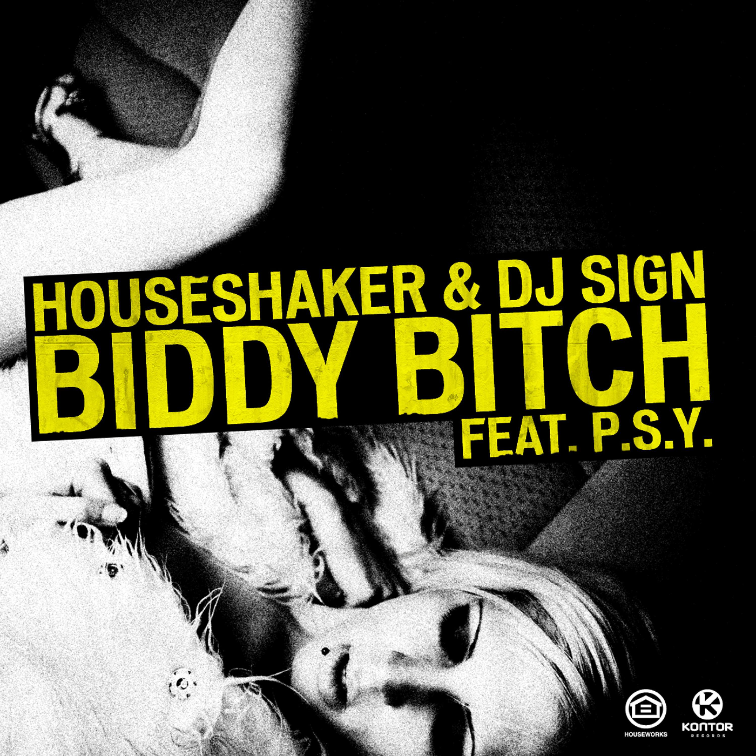 Houseshaker - Biddy ***** (Radio Edit)