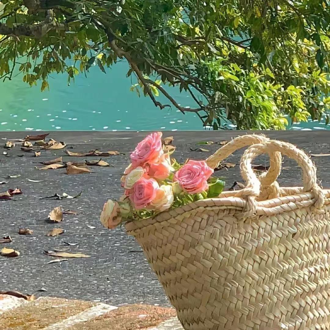 山花终会开 Remember to call me（remix）