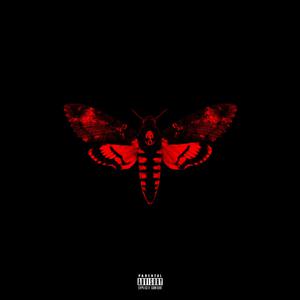 Lil Wayne、Detail - No Worries （降7半音）