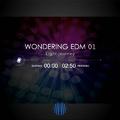 WONDERING EDM COLLECTION