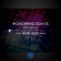 WONDERING EDM COLLECTION专辑