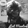 Cat Mantra - Crazy