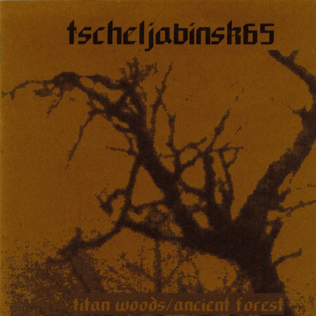 Titan Woods / Ancient Forest