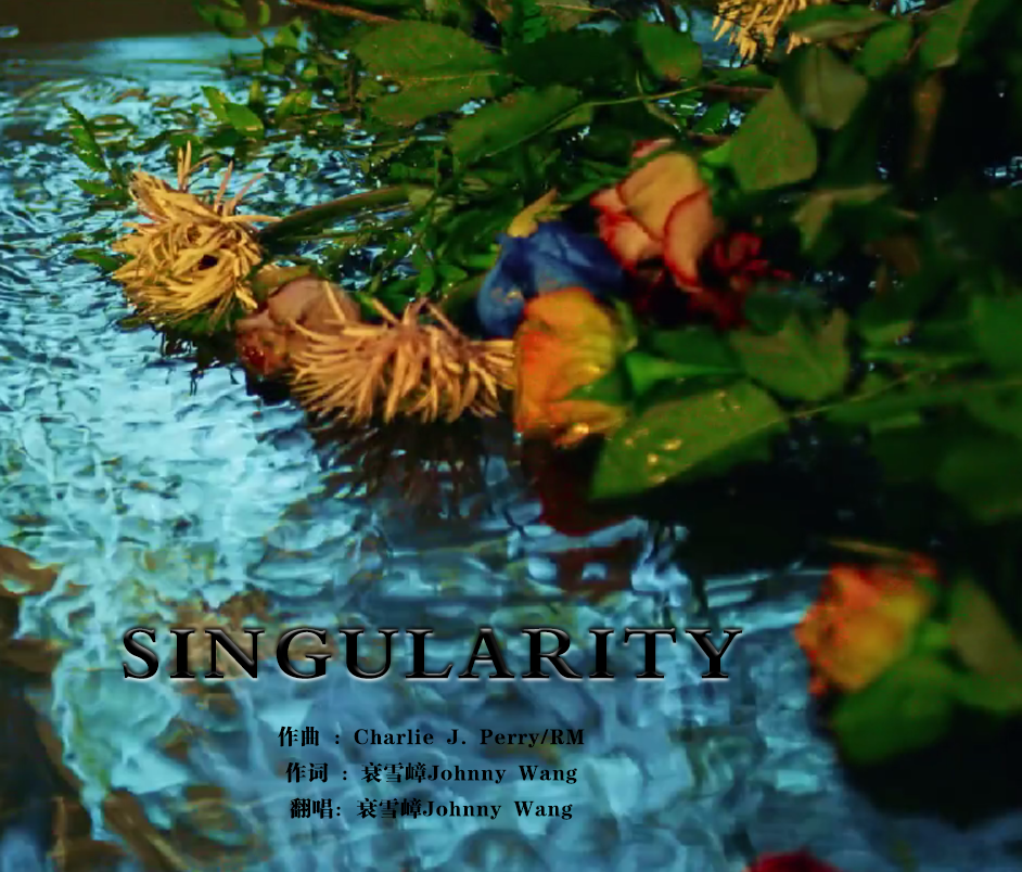 Singularity（Chinese Ver. ）（Cover 金泰亨）专辑