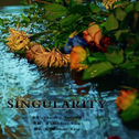 Singularity（Chinese Ver. ）（Cover 金泰亨）专辑