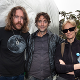 Spiderbait