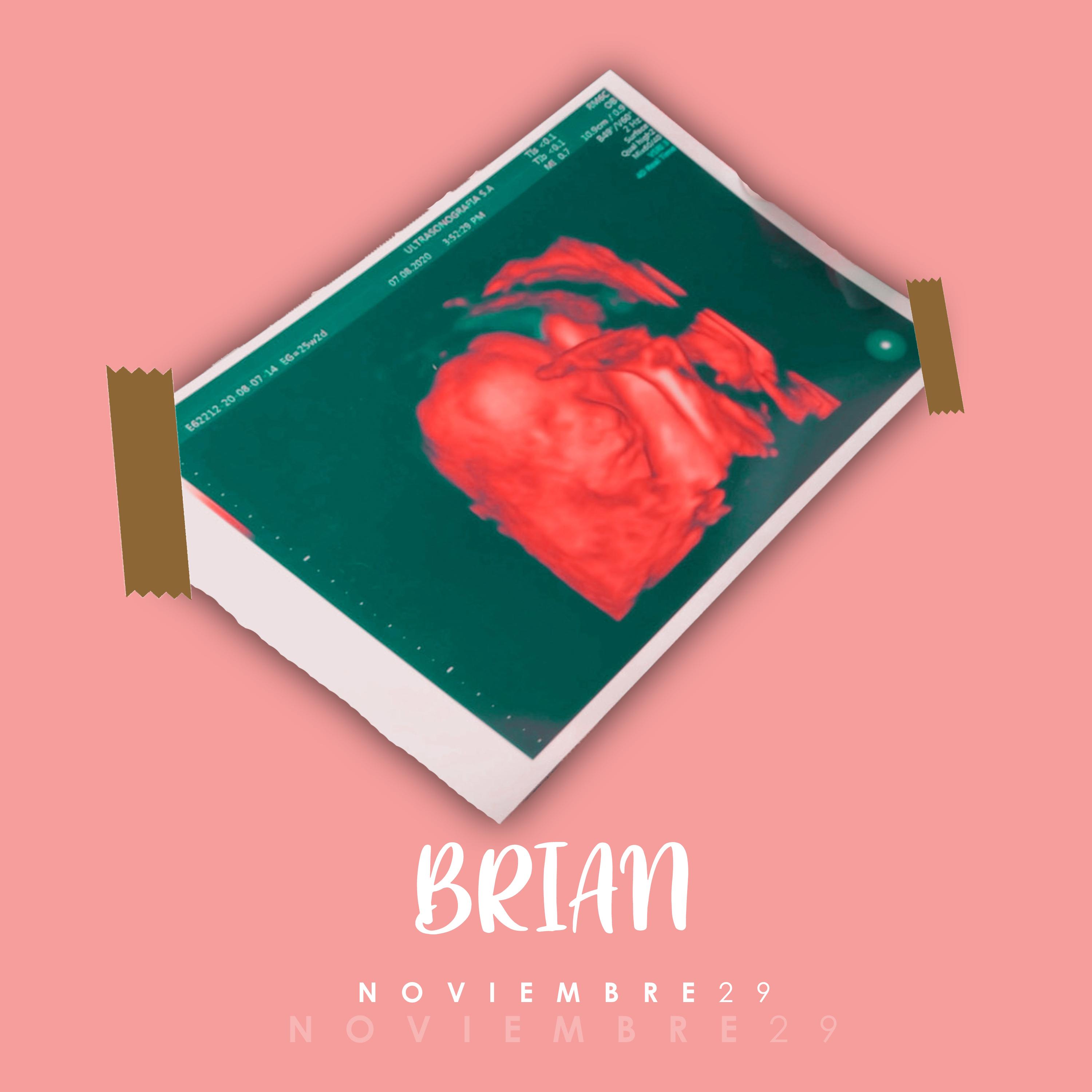 Noviembre 29