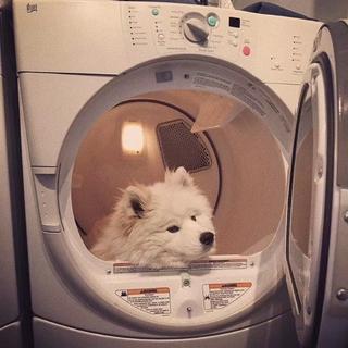 恋爱必听的朗朗上口甜蜜情歌