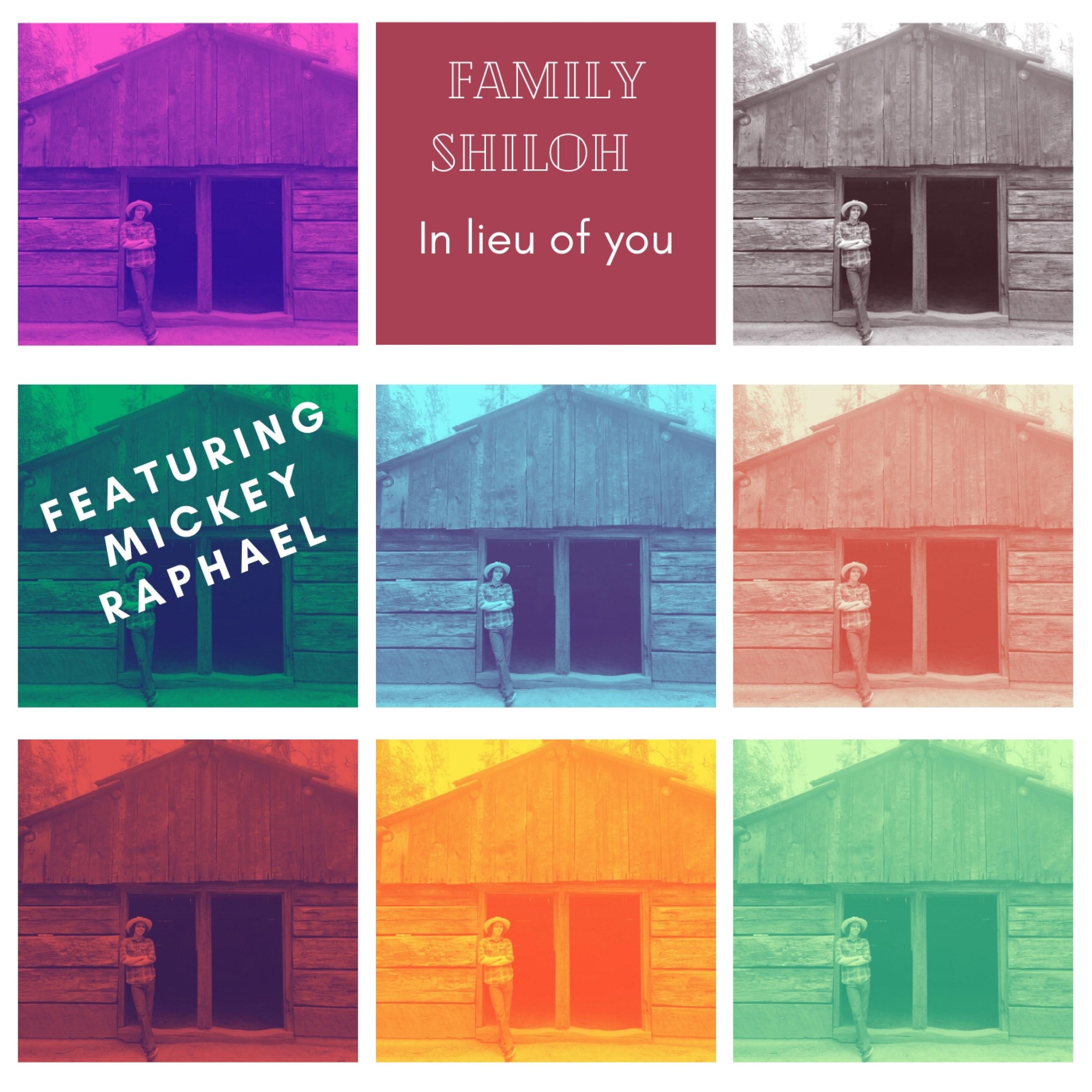 In Lieu of You (feat. Mickey Raphael)