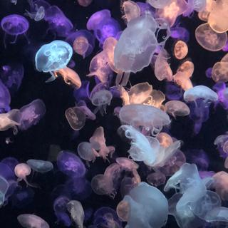 哄你入睡^^ 蒸汽波气旋