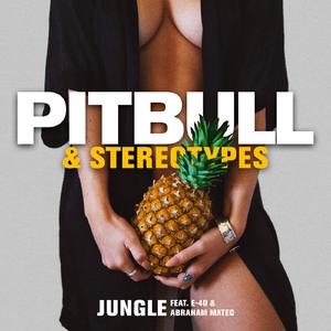 Abraham Mateo&E-40&Pitbull&Ste Jungle 原版立体声伴奏 （升7半音）