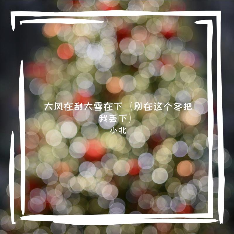 大风在刮大雪在下（别在这个冬把我丢下）
