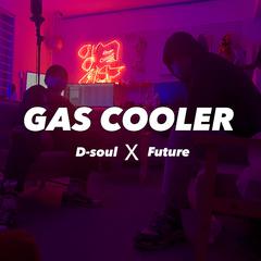 Gas cooler（Chinese ver.）