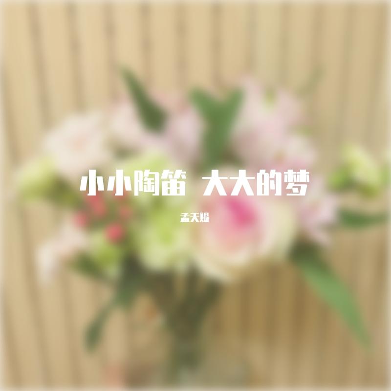 千与千寻 陶笛版