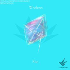 Kite