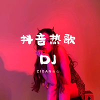 DJ小鱼儿 - 伤过的心 (DJ小鱼儿Remix) 伴奏 带底音伴奏 品质伴奏