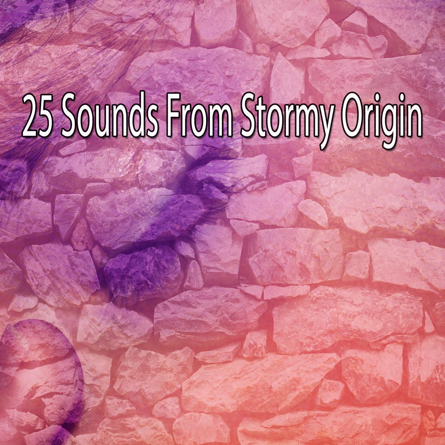 25 Sounds From Stormy Origin专辑