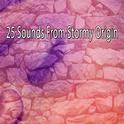 25 Sounds From Stormy Origin专辑