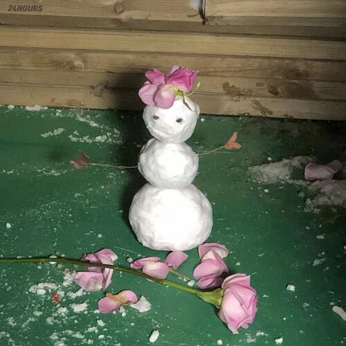 크리스마스는 집에서