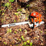 STIHL Chainsaw