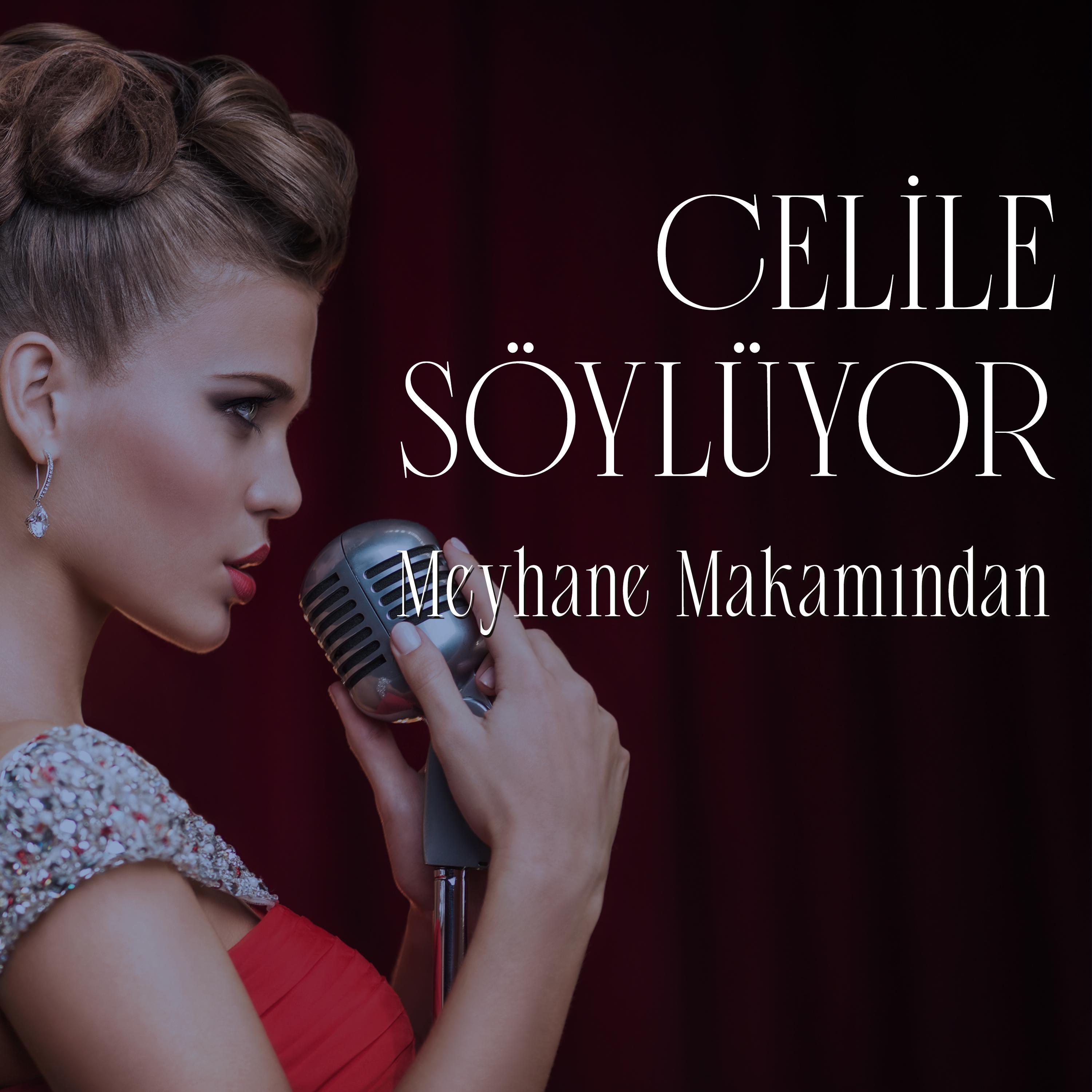 Hadi Tango ile Sevişelim