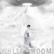 White Room （白房子）