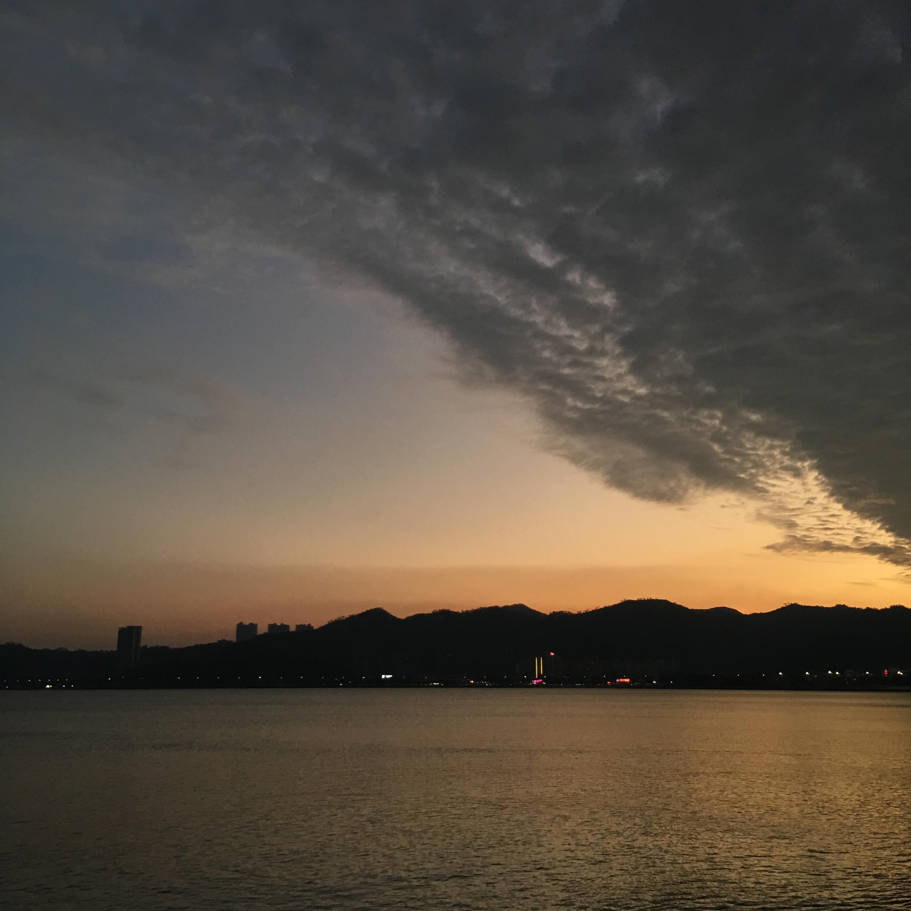 一条去旅行的狗