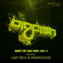 Freakhouze Special Best Of Big Fish 2011 - DJ Only