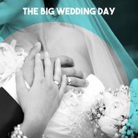 Brno State Philharmonic Orchestra - Coppelia: Waltz of the Hours