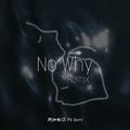 憋问为啥（No Why Remix）