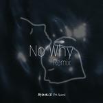 憋问为啥（No Why Remix）专辑