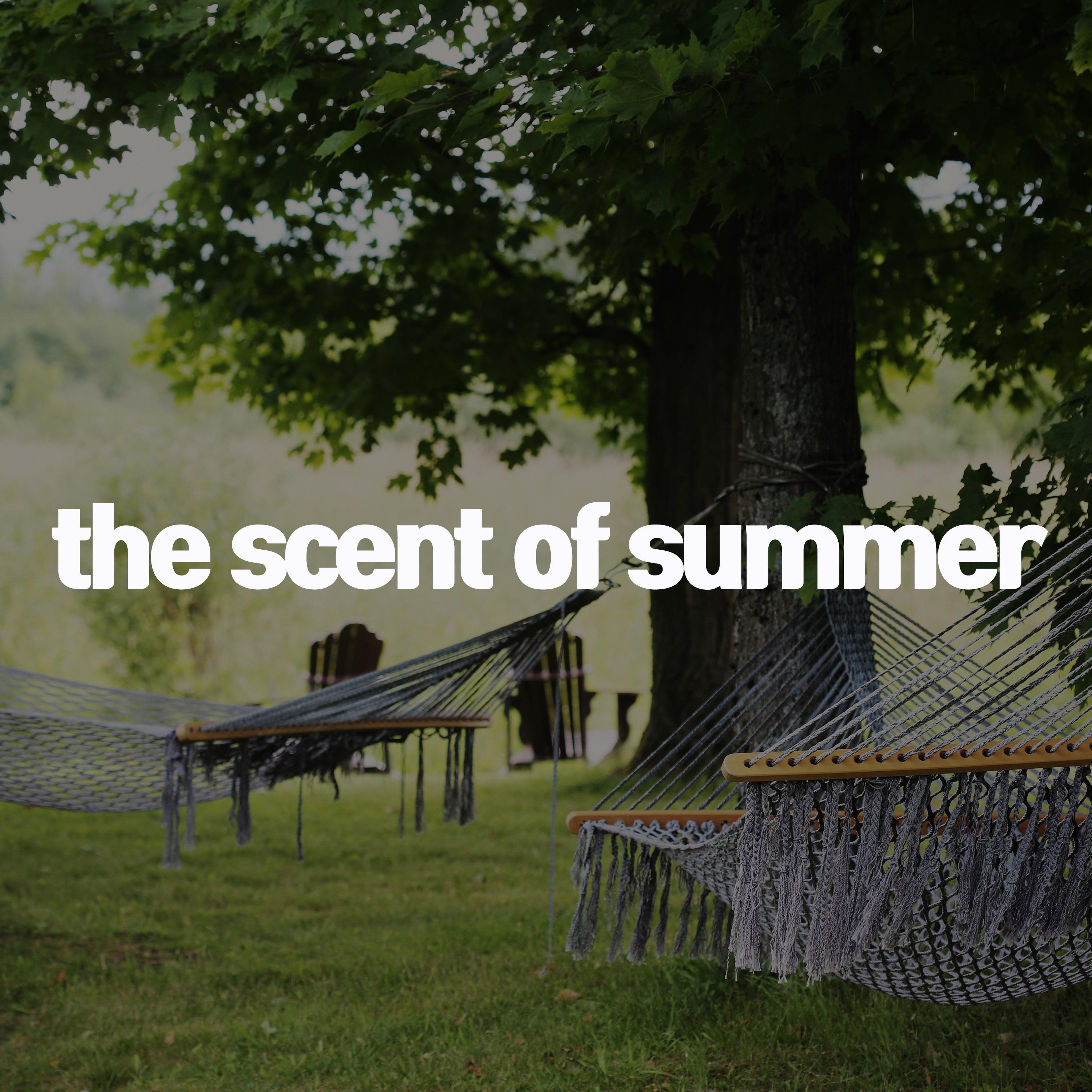 D.BGM #SUMMER