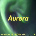 Aurora（极光）